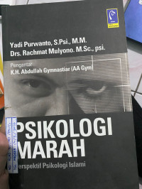 Image of PSIKOLOGI MARAH : PERSPEKTIF PSIKOLOGI ISLAMI